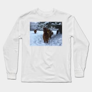 Scottish Highland Cattle Calf 1891 Long Sleeve T-Shirt